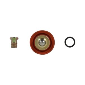 AEM Adjustable Fuel Pressure Regulator Rebuild Kit AEM 25-392 official photo