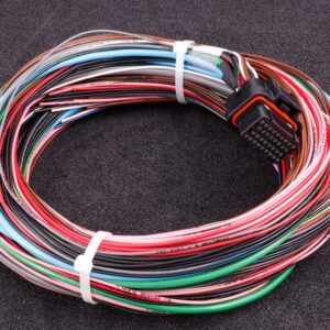 MaxxECU GEN2 TRACK / RACE cable harness 2 - MaxxECU manufacturer photo
