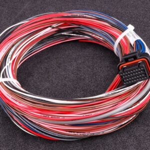 MaxxECU GEN2 RACE cable harness 3 - MaxxECU manufacturer photo