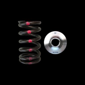 BC0200 Nissan SR20DE(T) Spring/Titanium Retainer Kit