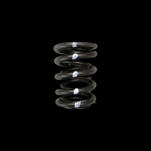 BC1010-1 Valve Spring - Dual (Honda/Acura B18C/B16A/B17A, Nissan KA24DE) - 1 only