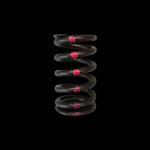 BC1200-1 Valve Spring - Single (Nissan SR20DE-T) - 1 only